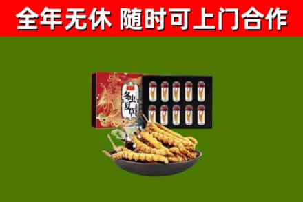 横沥镇烟酒回收冬虫夏草礼盒.jpg